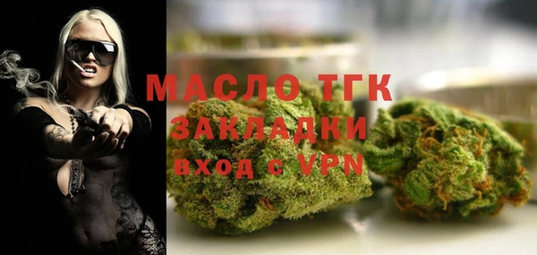 мдпв Бородино