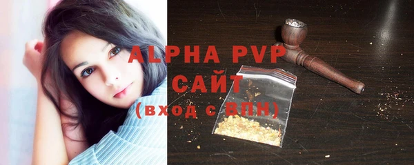 мдпв Бородино