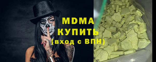 индика Богородск