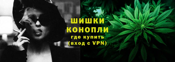 индика Богородск