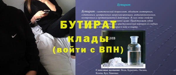 мдпв Бородино