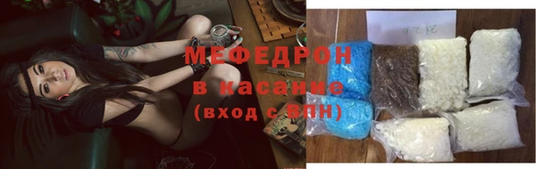 индика Богородск