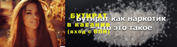 мдпв Бородино
