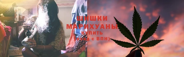 mix Богородицк