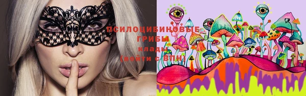 мдпв Бородино