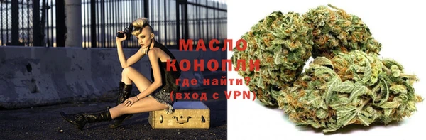 индика Богородск